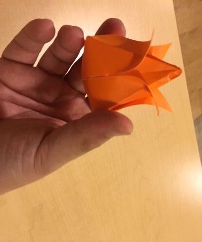 How to Create an Origami Tulip