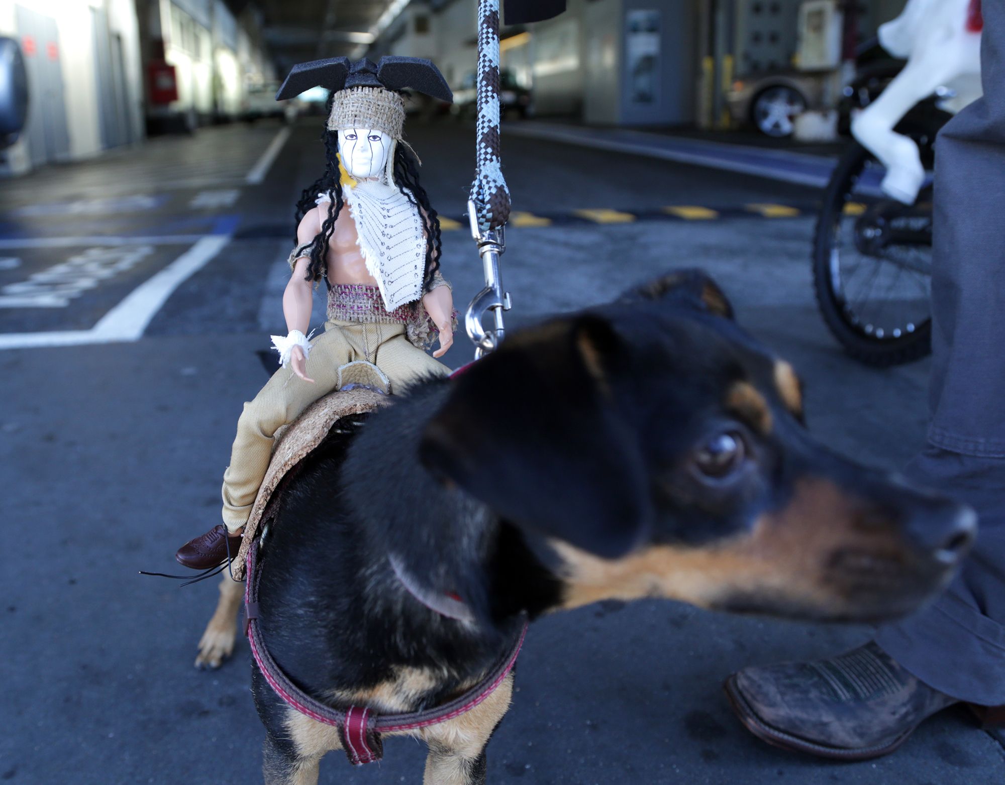 Tonto Dog Rider Costume 18 Steps (with Pictures) Instructables