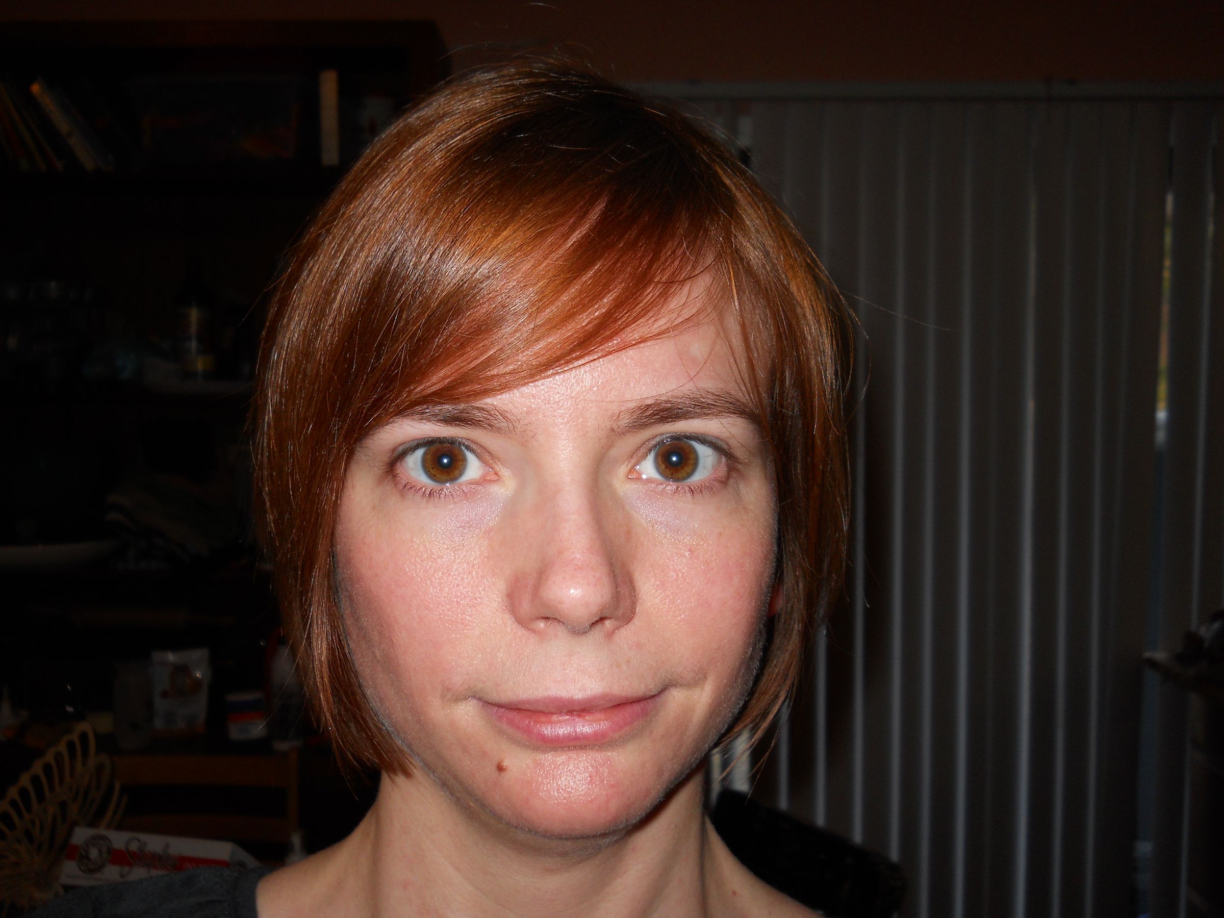 gingerkatt