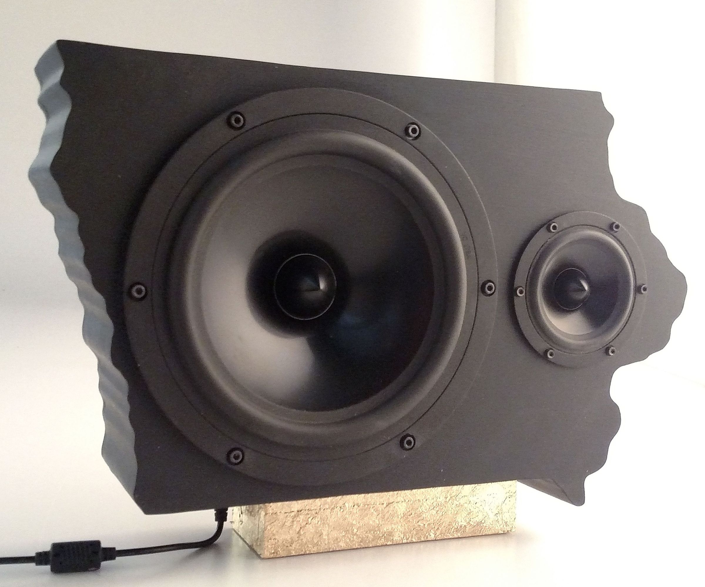 Iowa Shaped Speaker