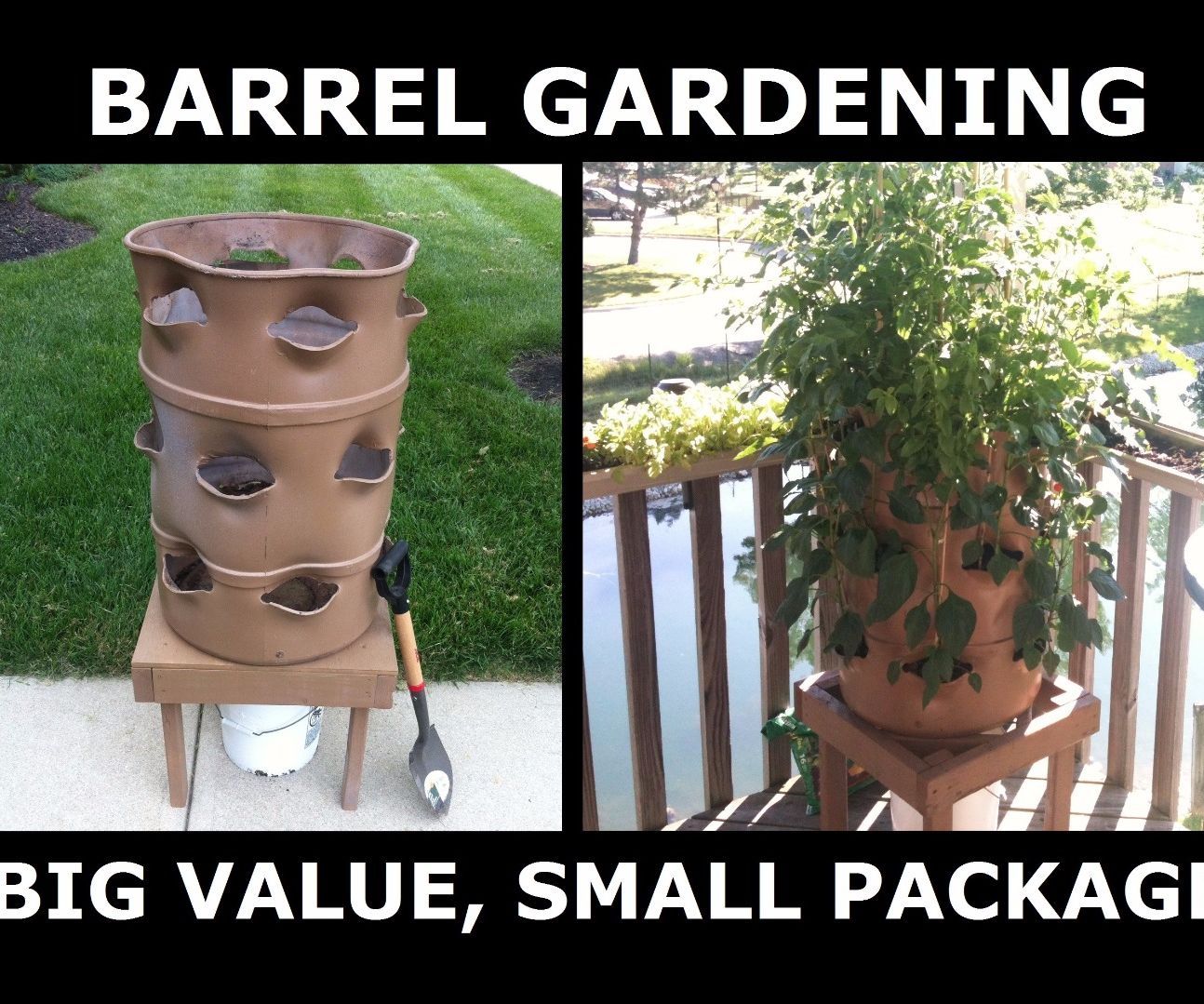 Barrel Gardens: Big Value in a Small Package