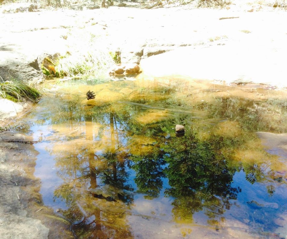 How to Get a Good Reflection Picture Using an Iphone