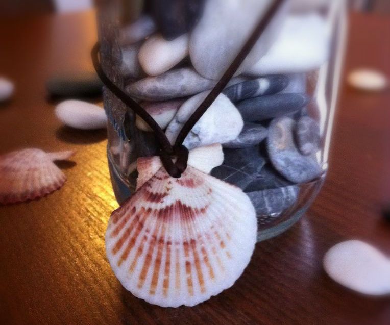 Sea Shell Necklace