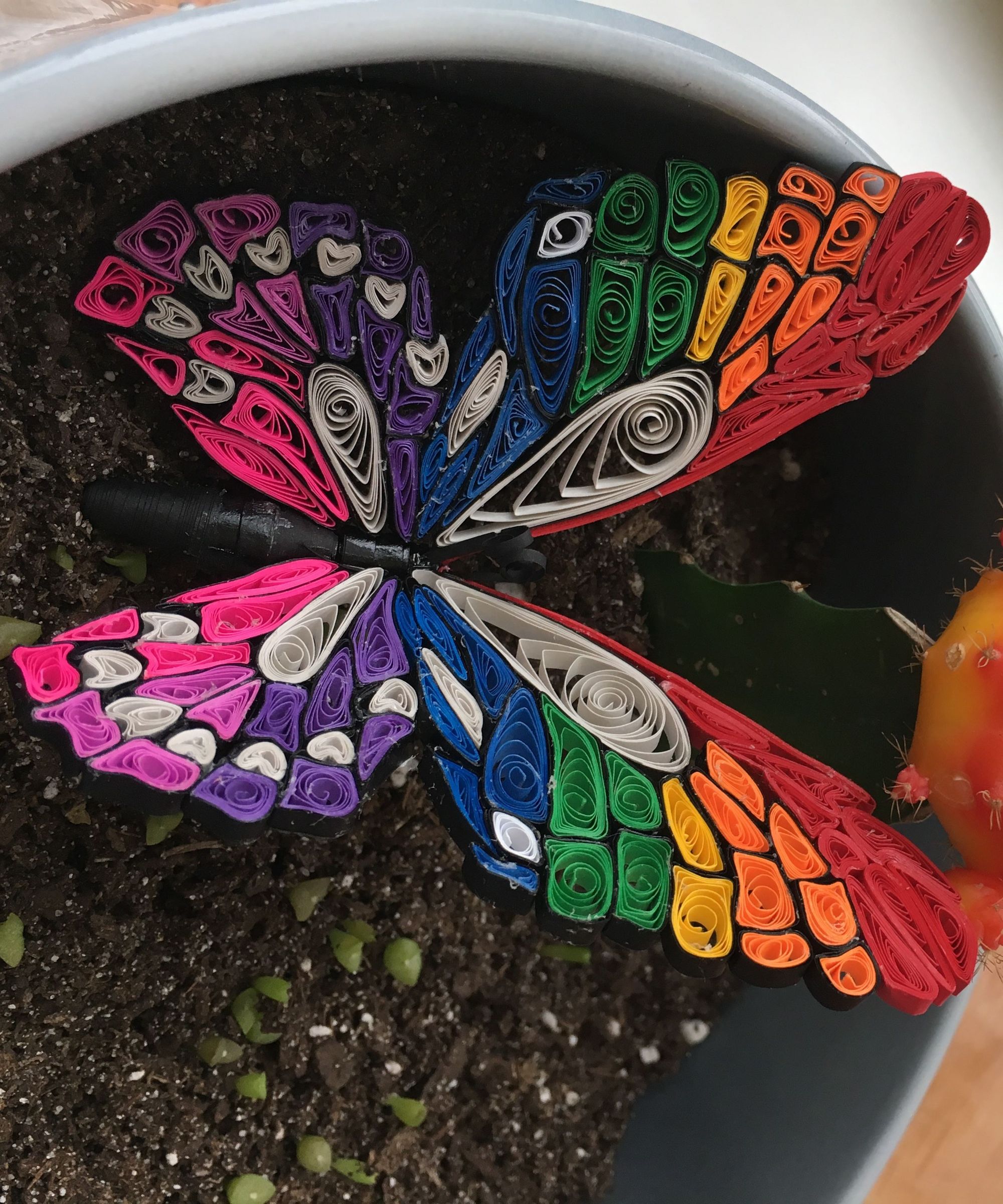 Rainbow Quilled Butterfly