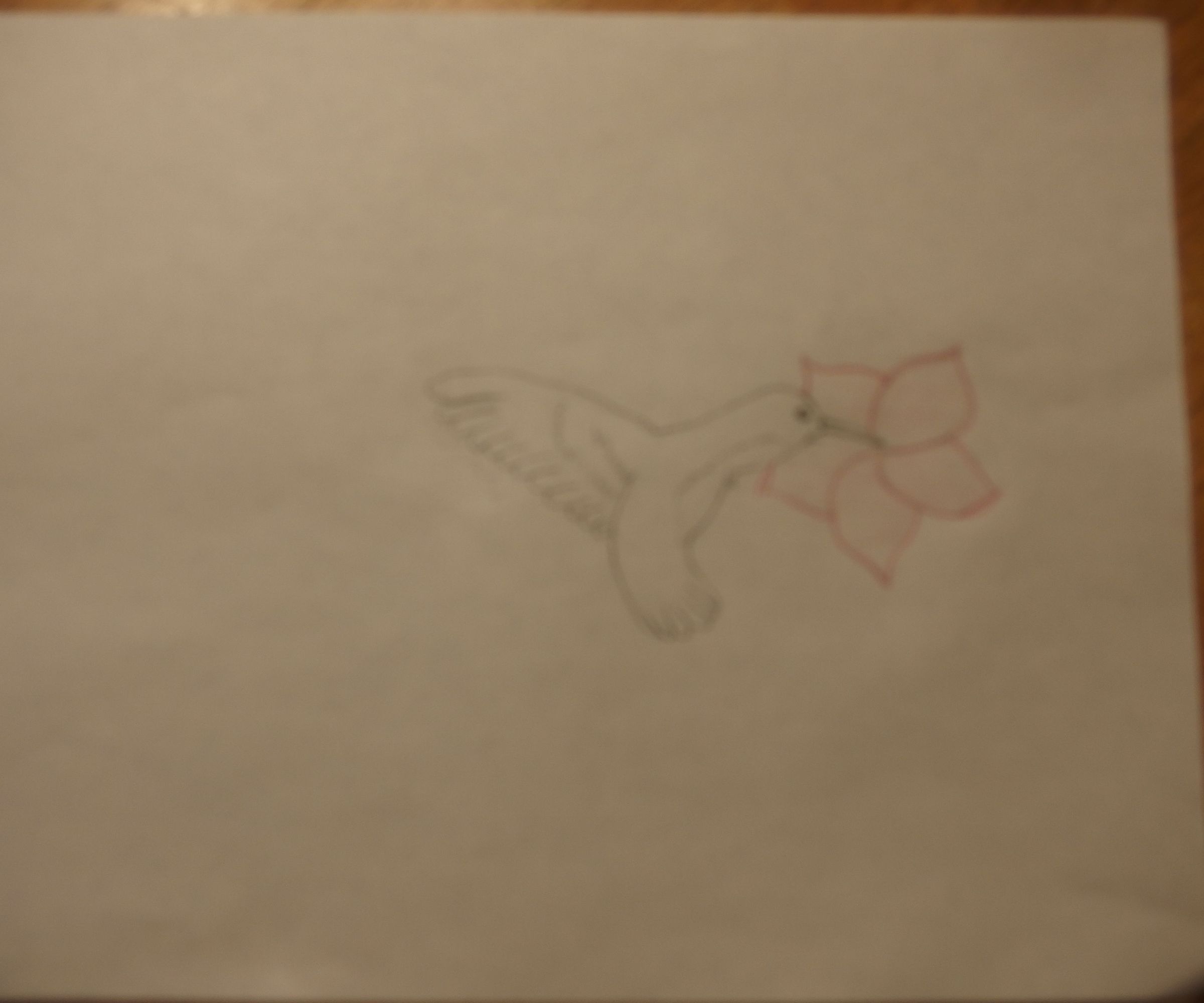 How to Draw a Hummingbird