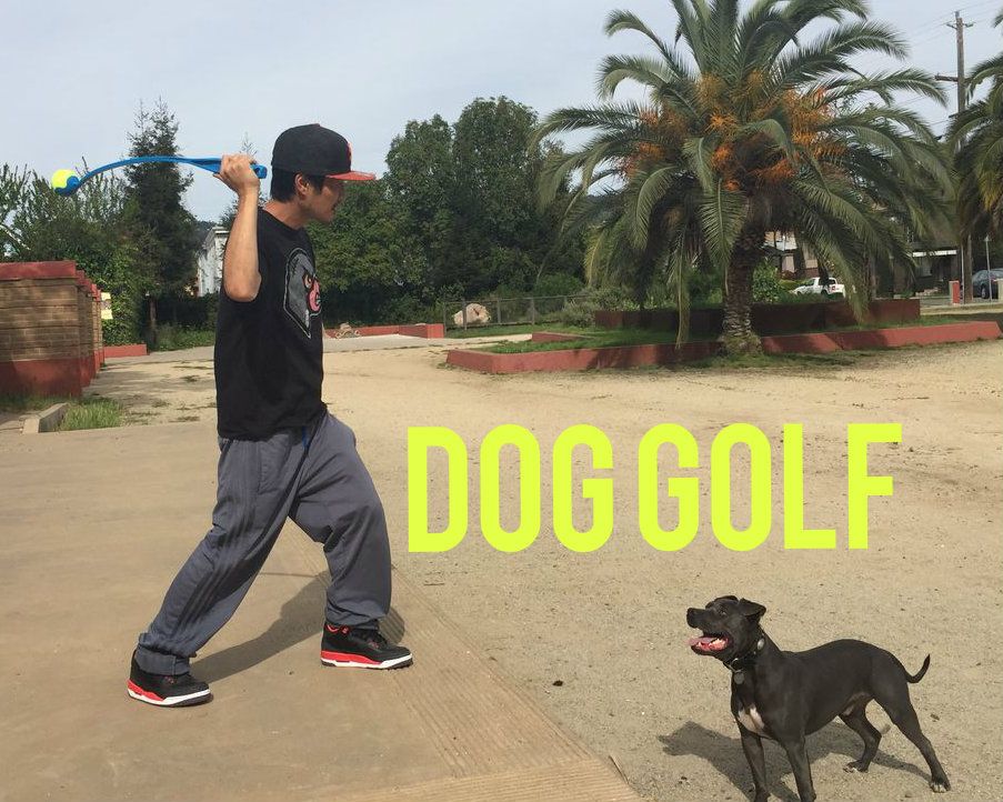 Dog Golf