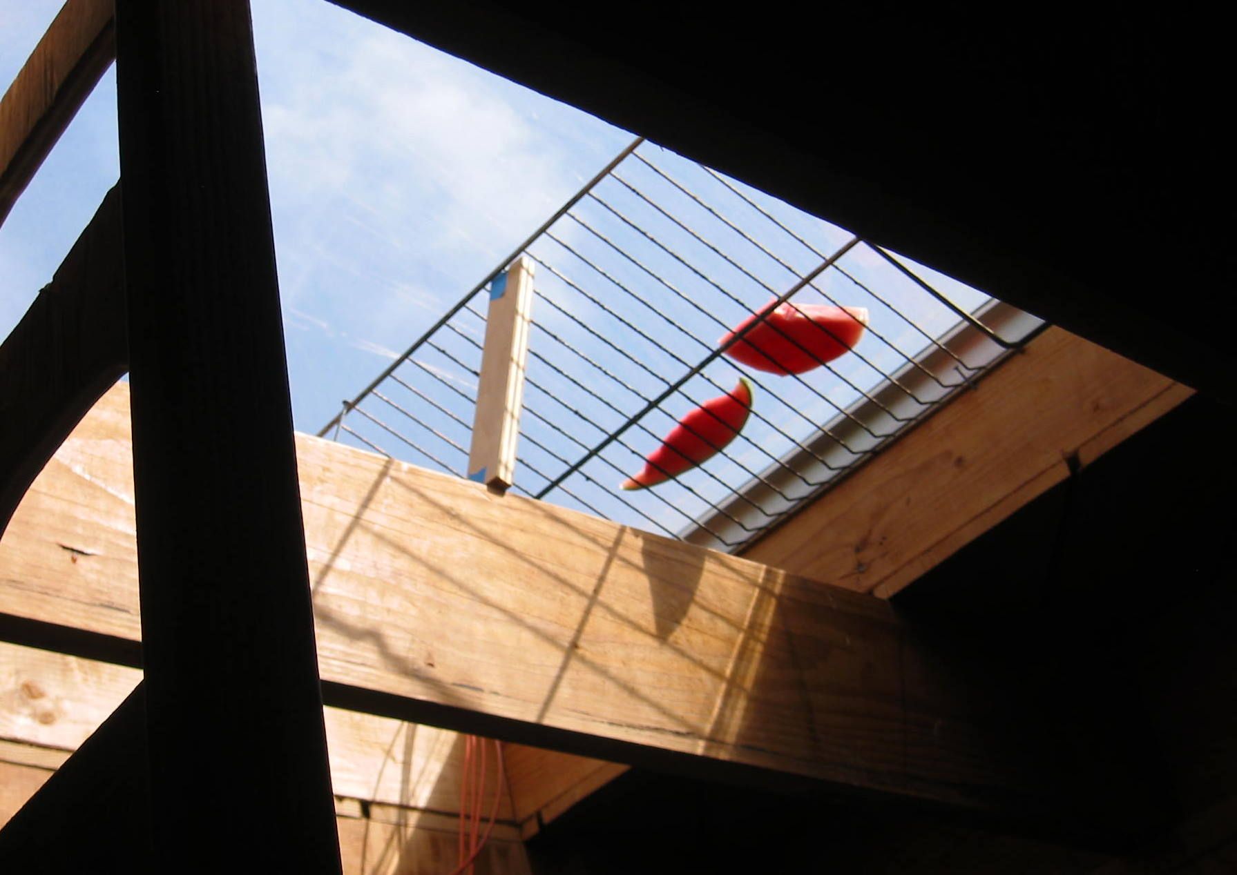 Sun Dried Watermelon Instructables