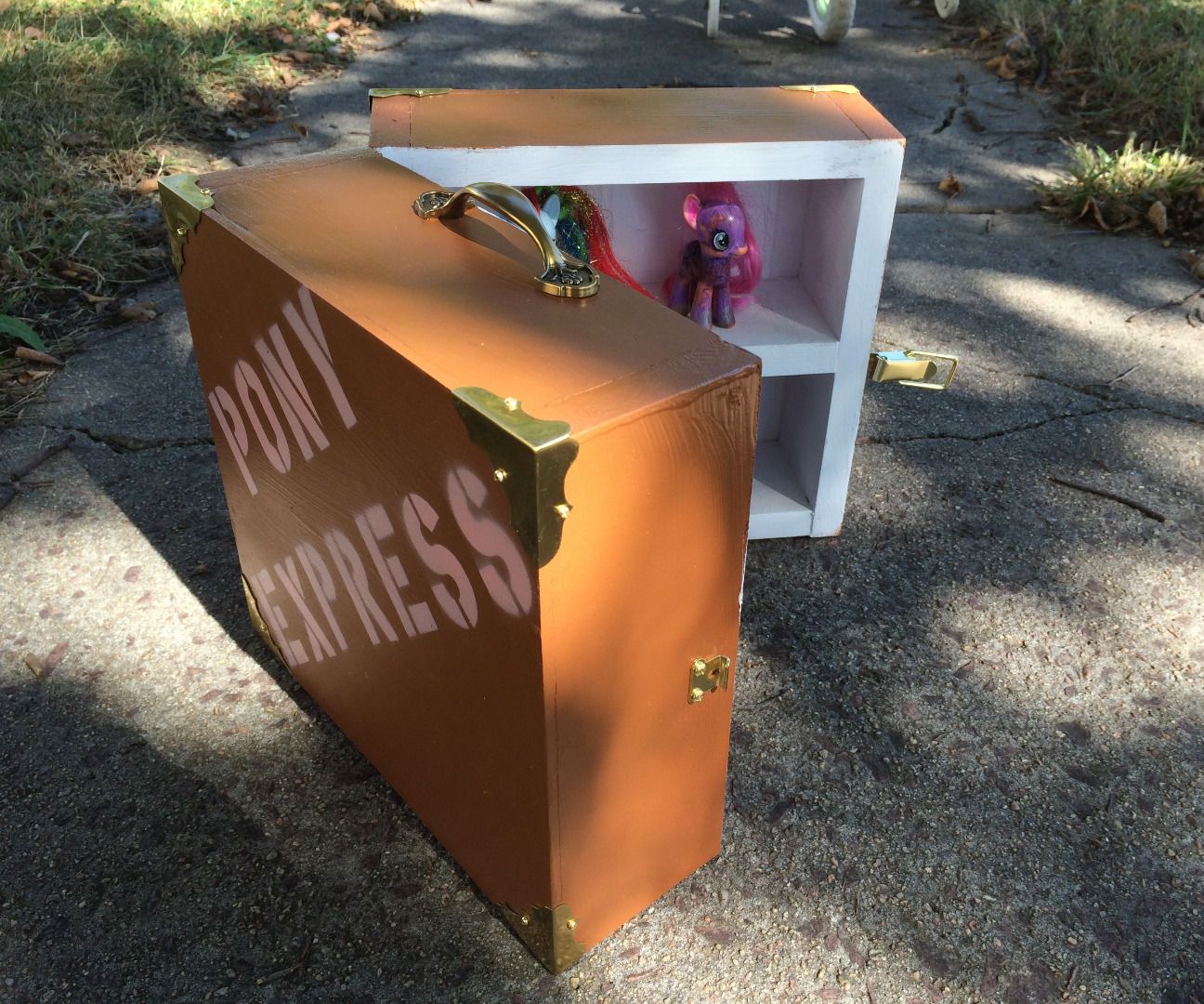 Pony Display Shelf and Carrying Case