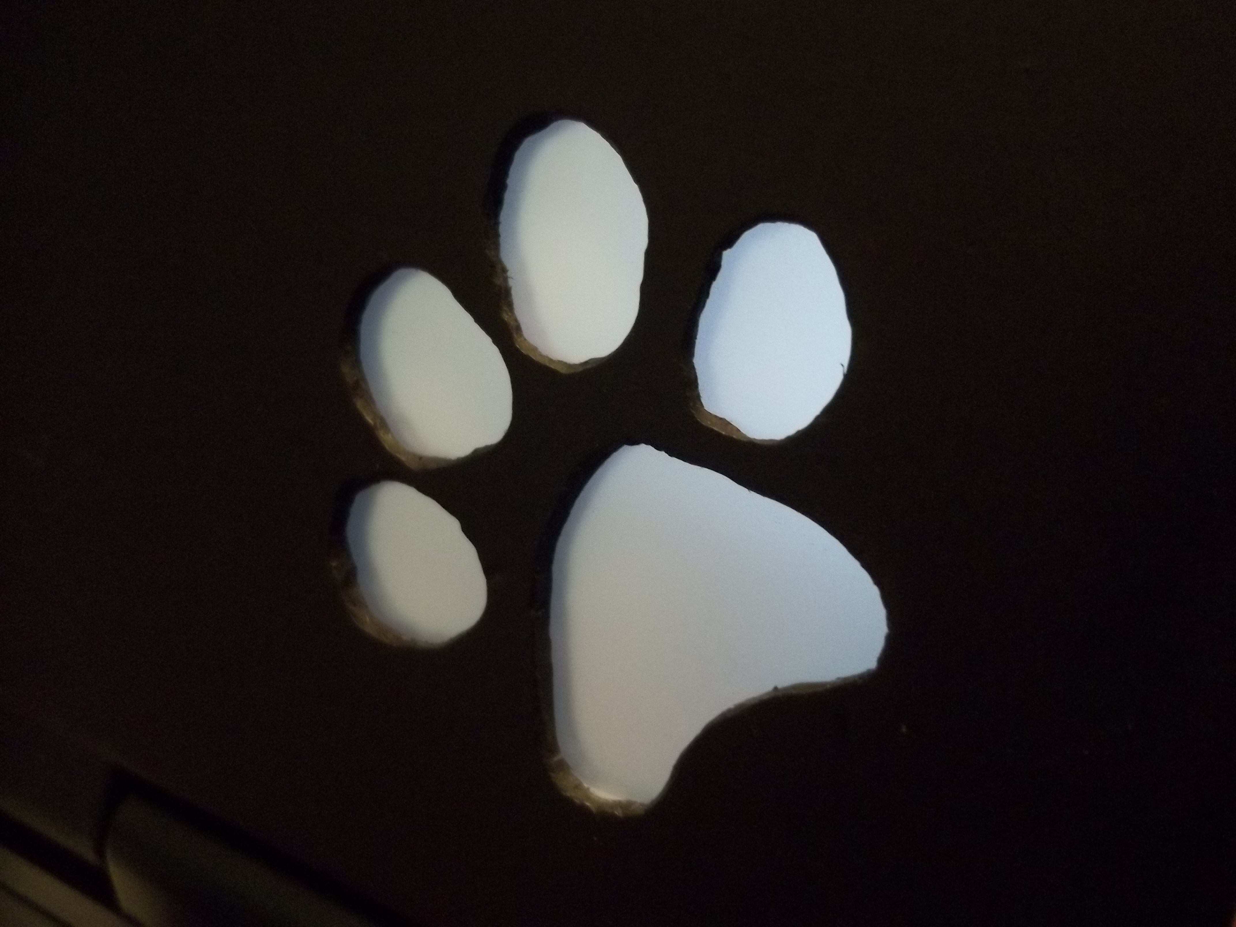 Glowing paw sound reactive laptop