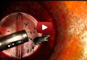 Humane Mousetrap Green Rat Trap for Capture and Release