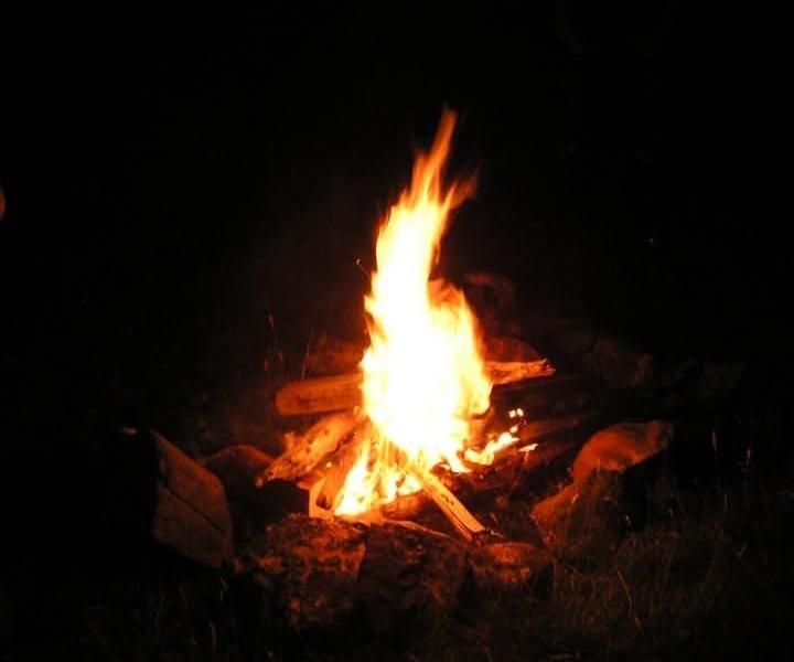 Survival