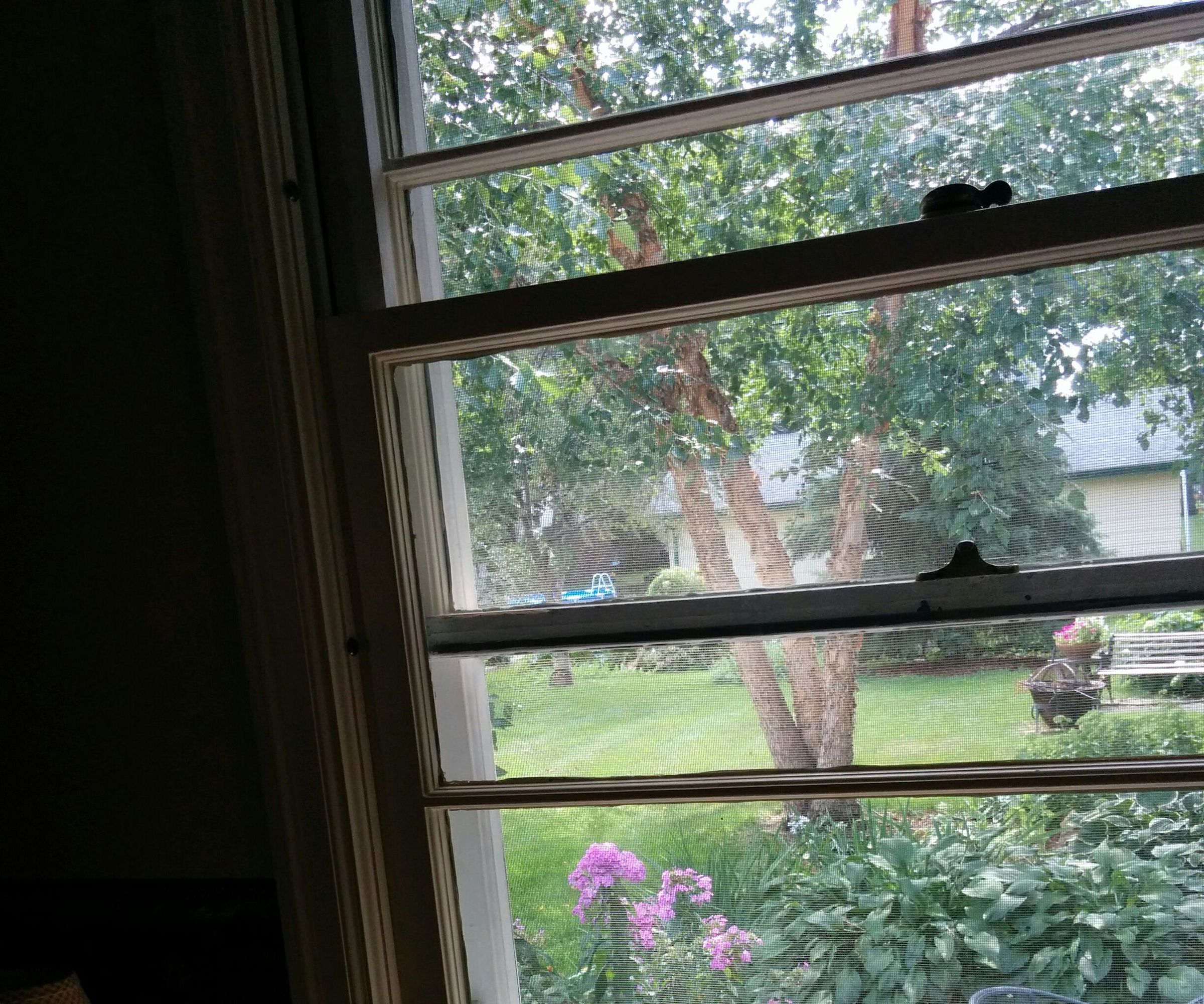 Window Security "lock" for Double Hung Windows