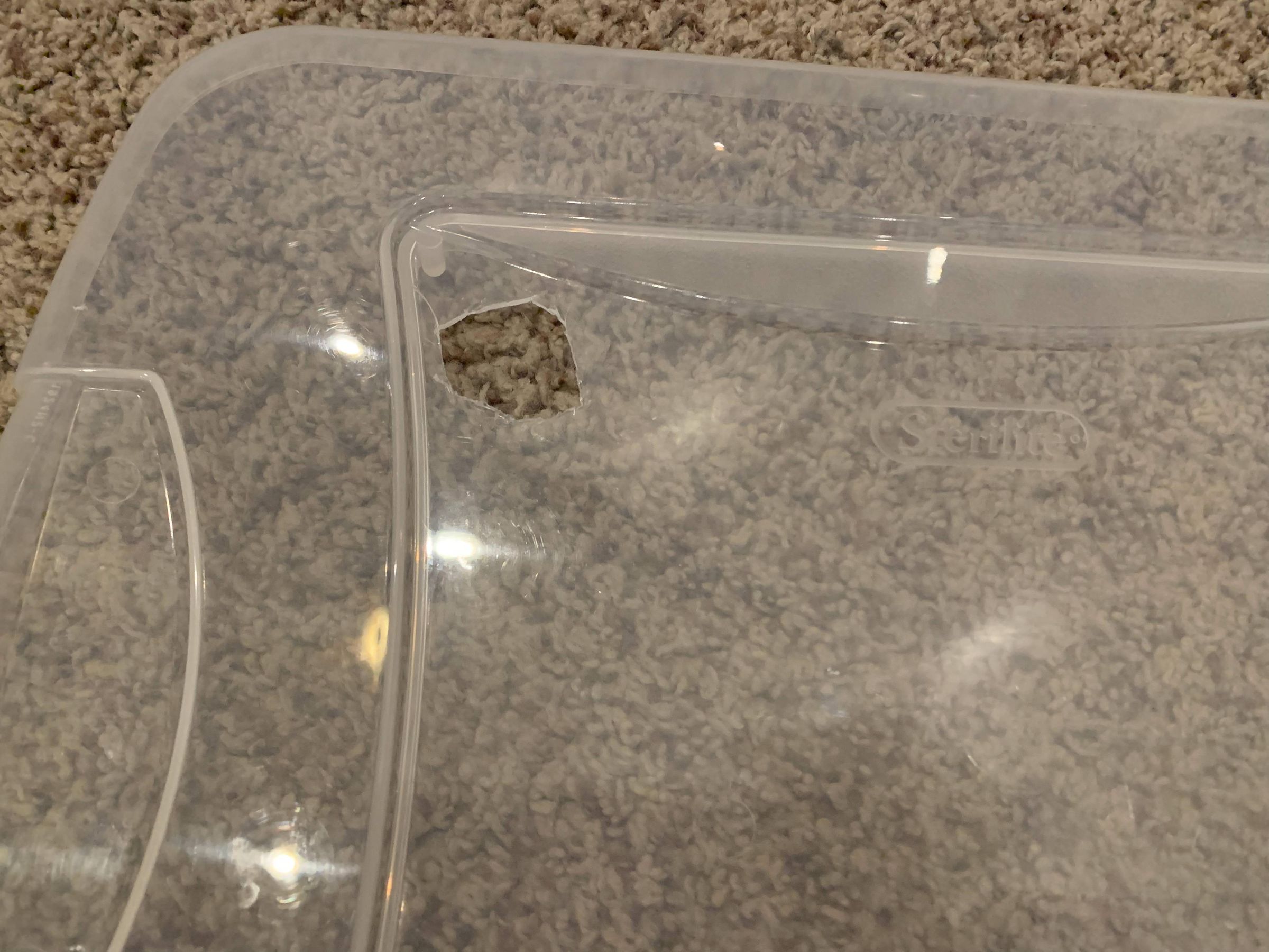 Automated Bioactive Tropical Reptile Vivarium (using Arduino) 7 Steps