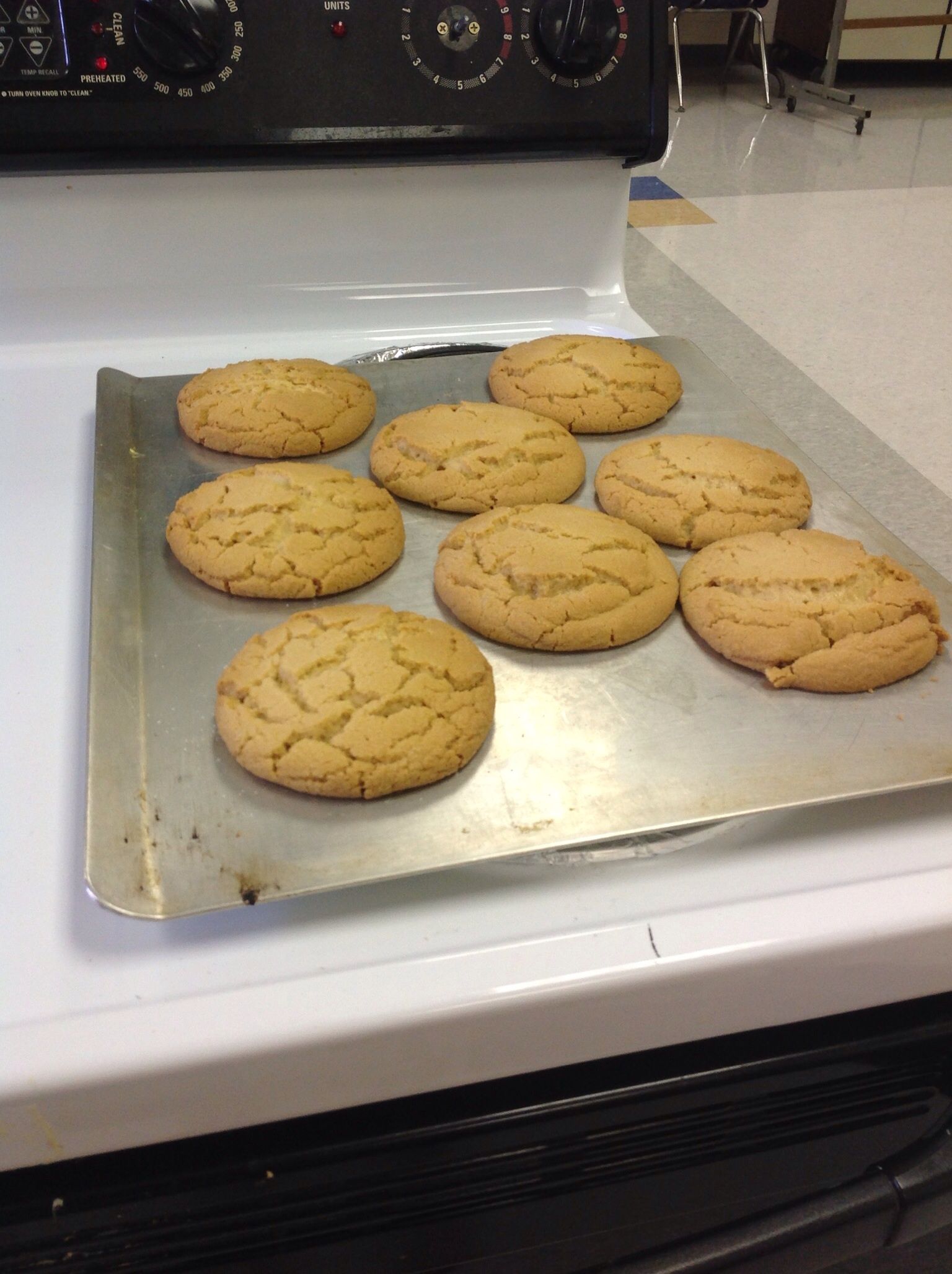Fo'shizzle Peanut Butter Cookies