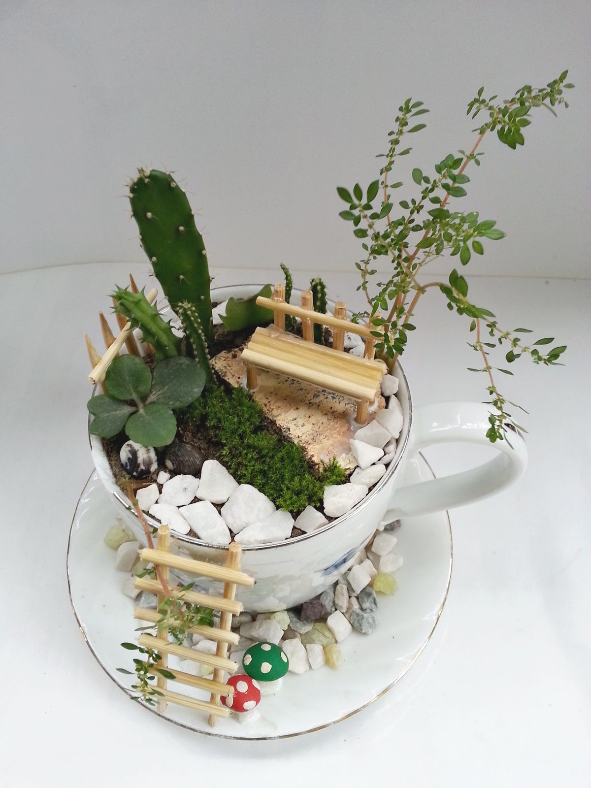DIY Cup Garden : 9 Steps (with Pictures) - Instructables