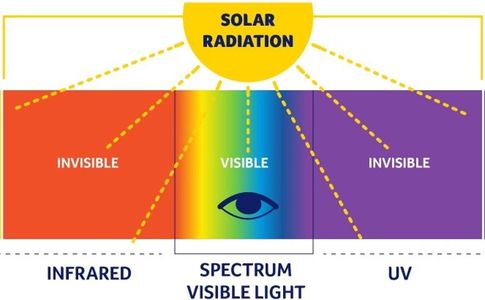 Exploring Solar Cooking Mechanics