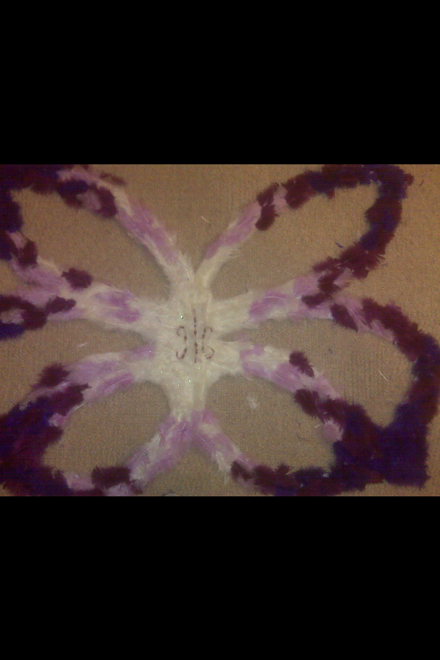 Pretty Wings