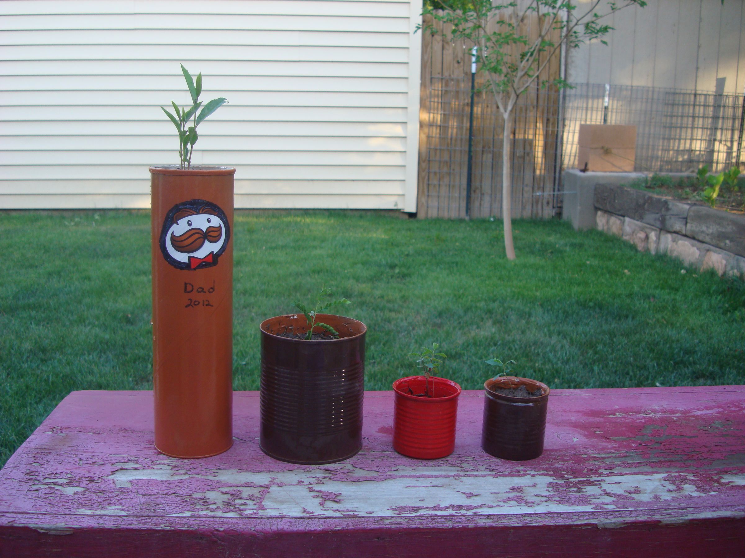 Unforgettable Father's Day Gift