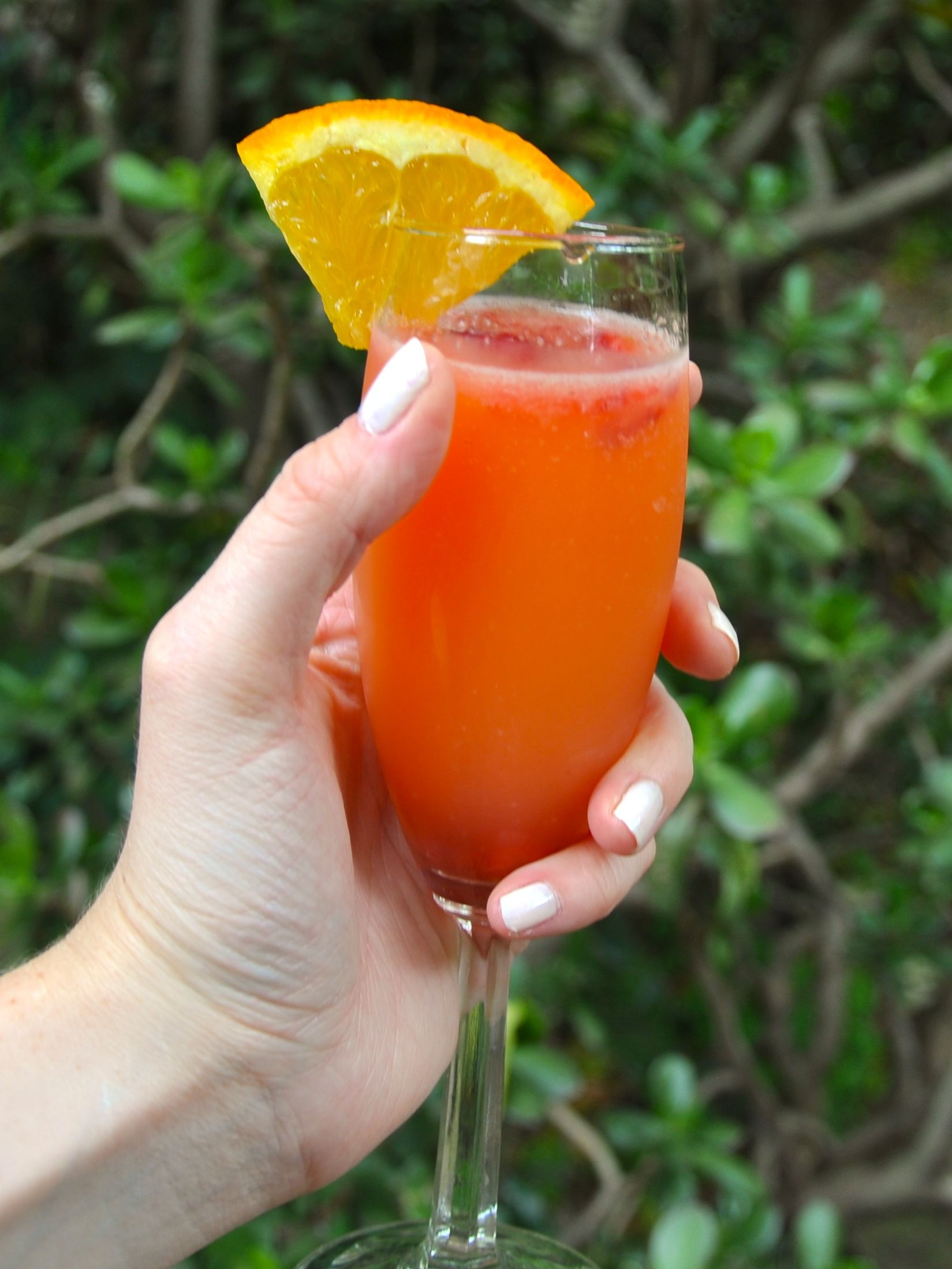 Mike's Mimosa : 3 Steps (with Pictures) - Instructables