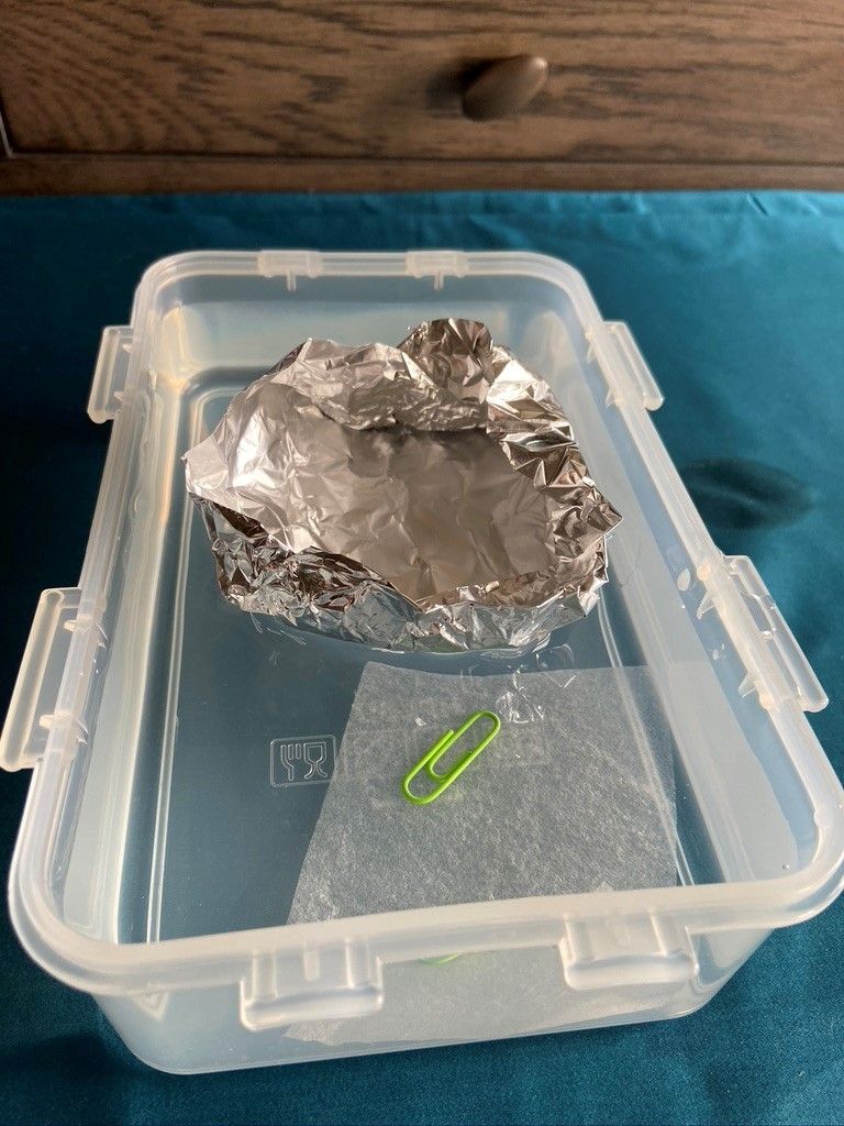 Experimenting With Surface Tension and Buoyancy : 9 Steps - Instructables