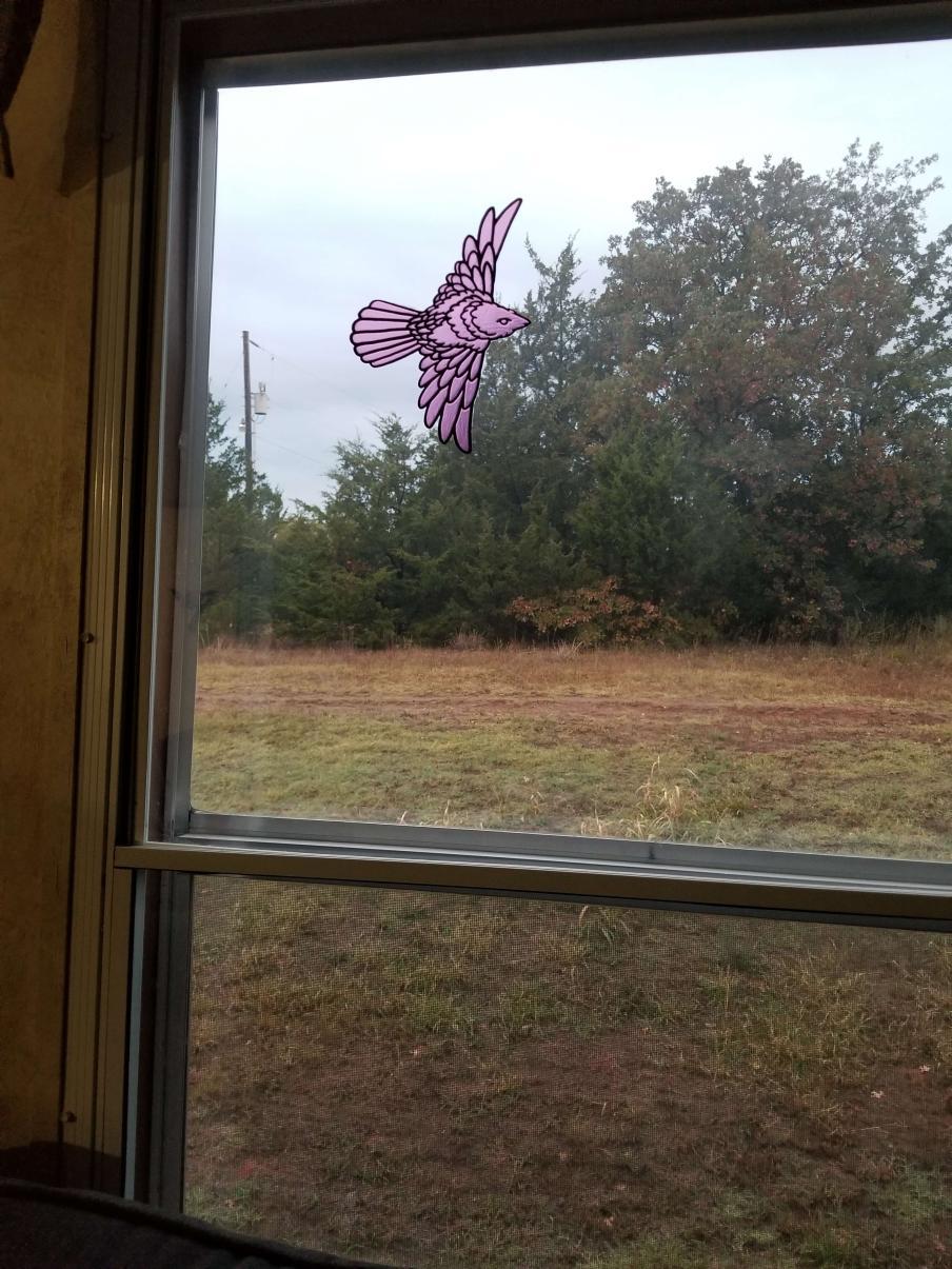 Colorful Cricut Suncatchers! Cellophane + Contact Paper + Cardstock 6