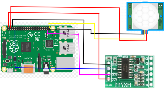 Wire the Load Cell and PIR to the Raspberry Pi