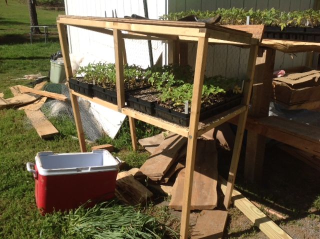 Rabbit Hutch