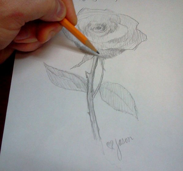 How to Draw a Rose in Pencil Step by Step