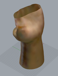 Hand Canvas 5