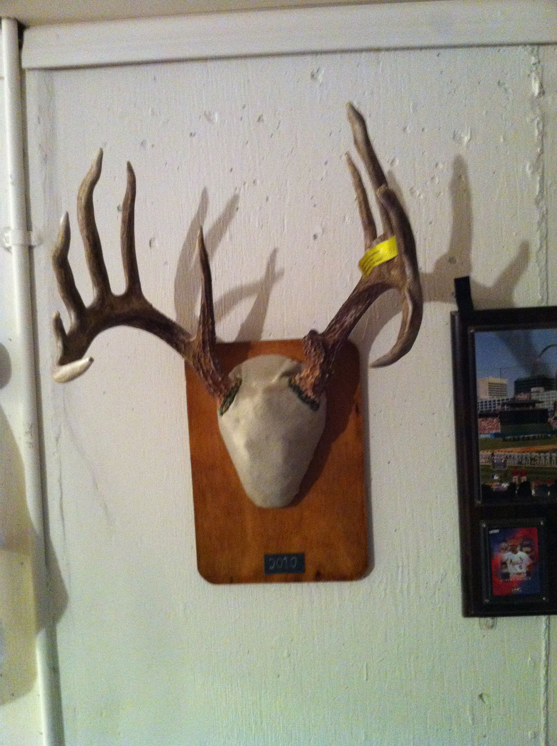Homemade Deer Antlers Mount