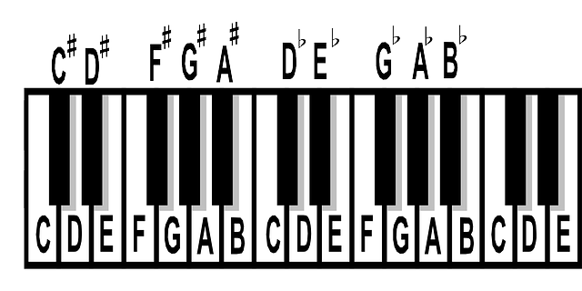 Piano basics online for beginners