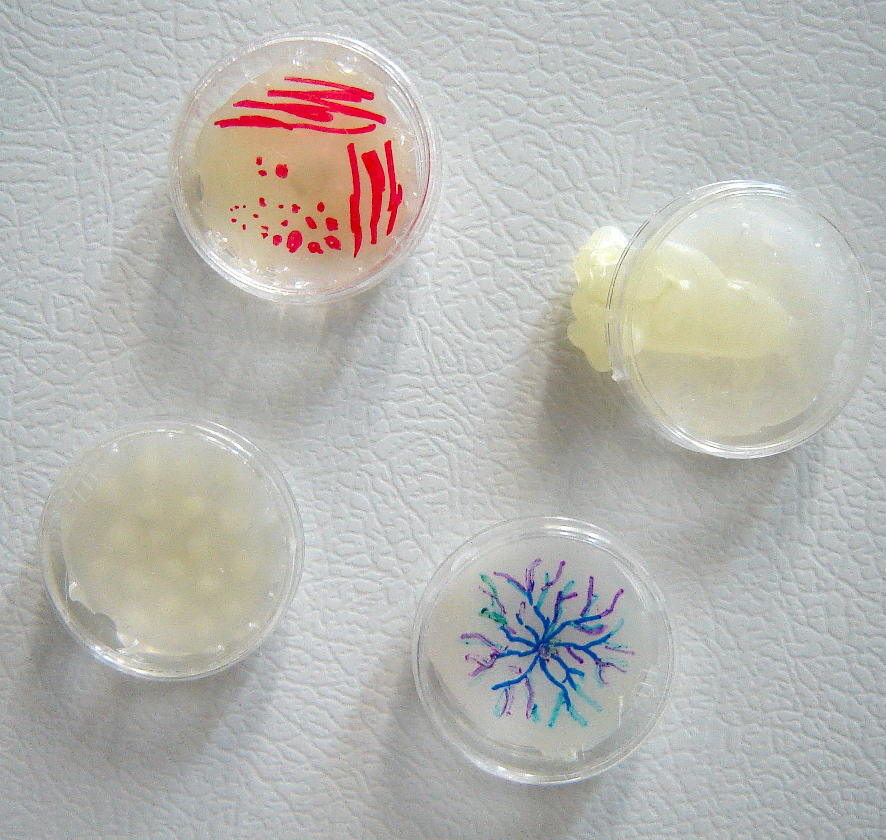 Geeky Fridge Magnets