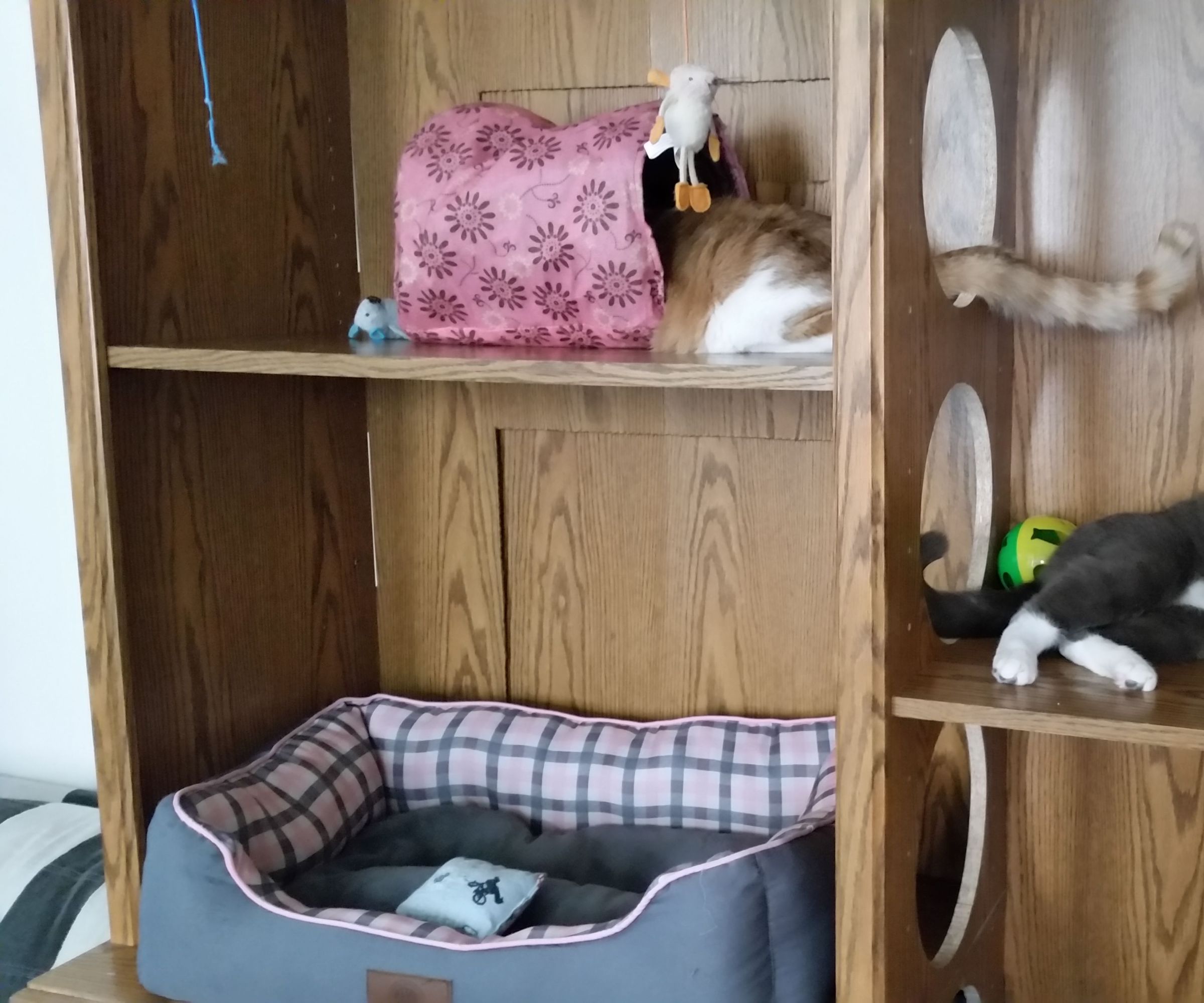 Cheap Cat House
