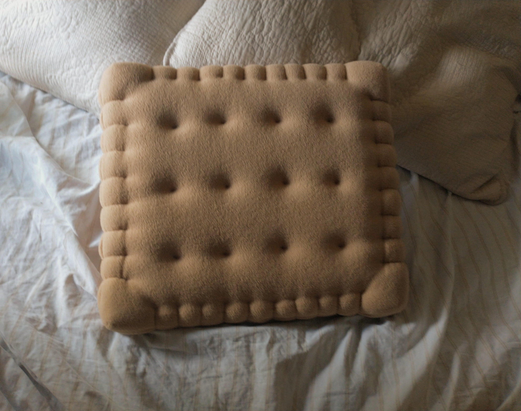 Cracker Pillow 3 Steps (with Pictures) Instructables