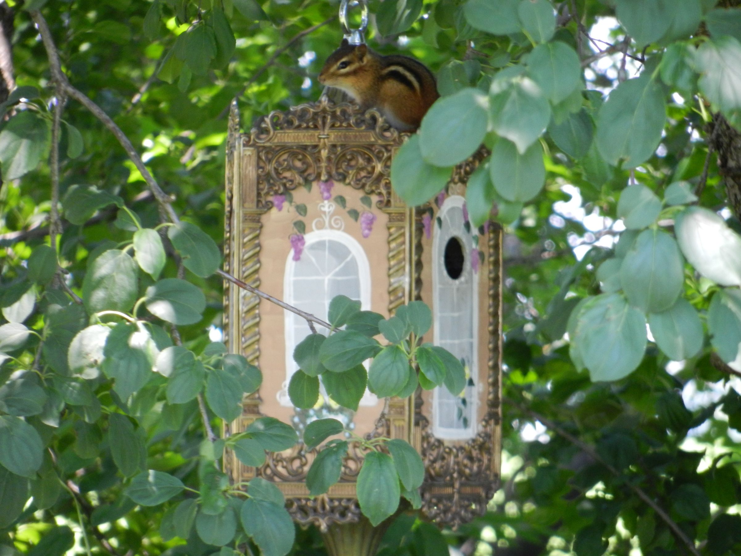 PORCH LIGHT BIRDHOUSE: