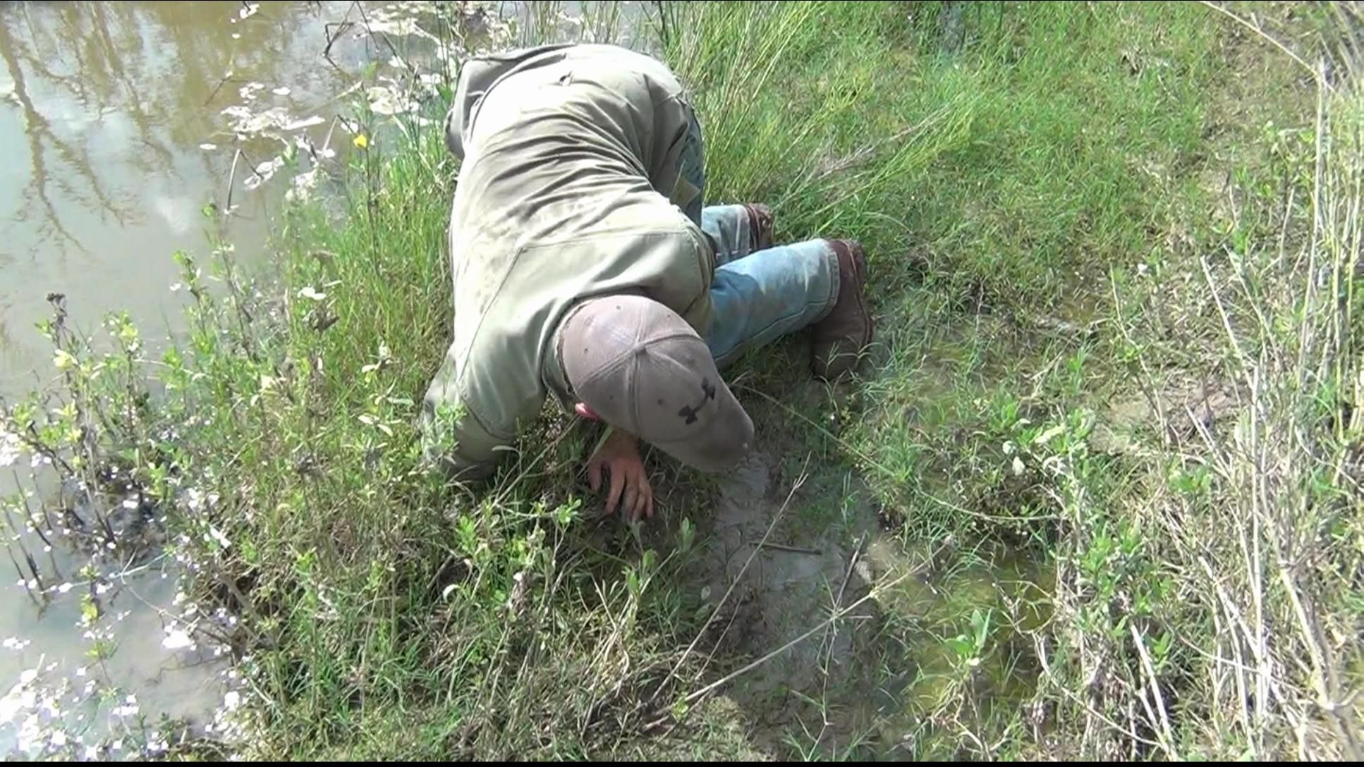 How to Dig Up Crawfish! Aka Crawdads, Crayfish, Mudbugs, Crays