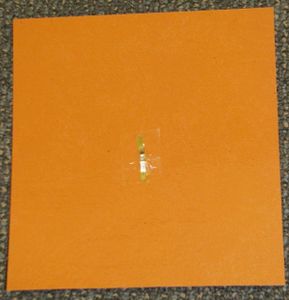 Key Transposing Wheel for Chords : 7 Steps (with Pictures) - Instructables