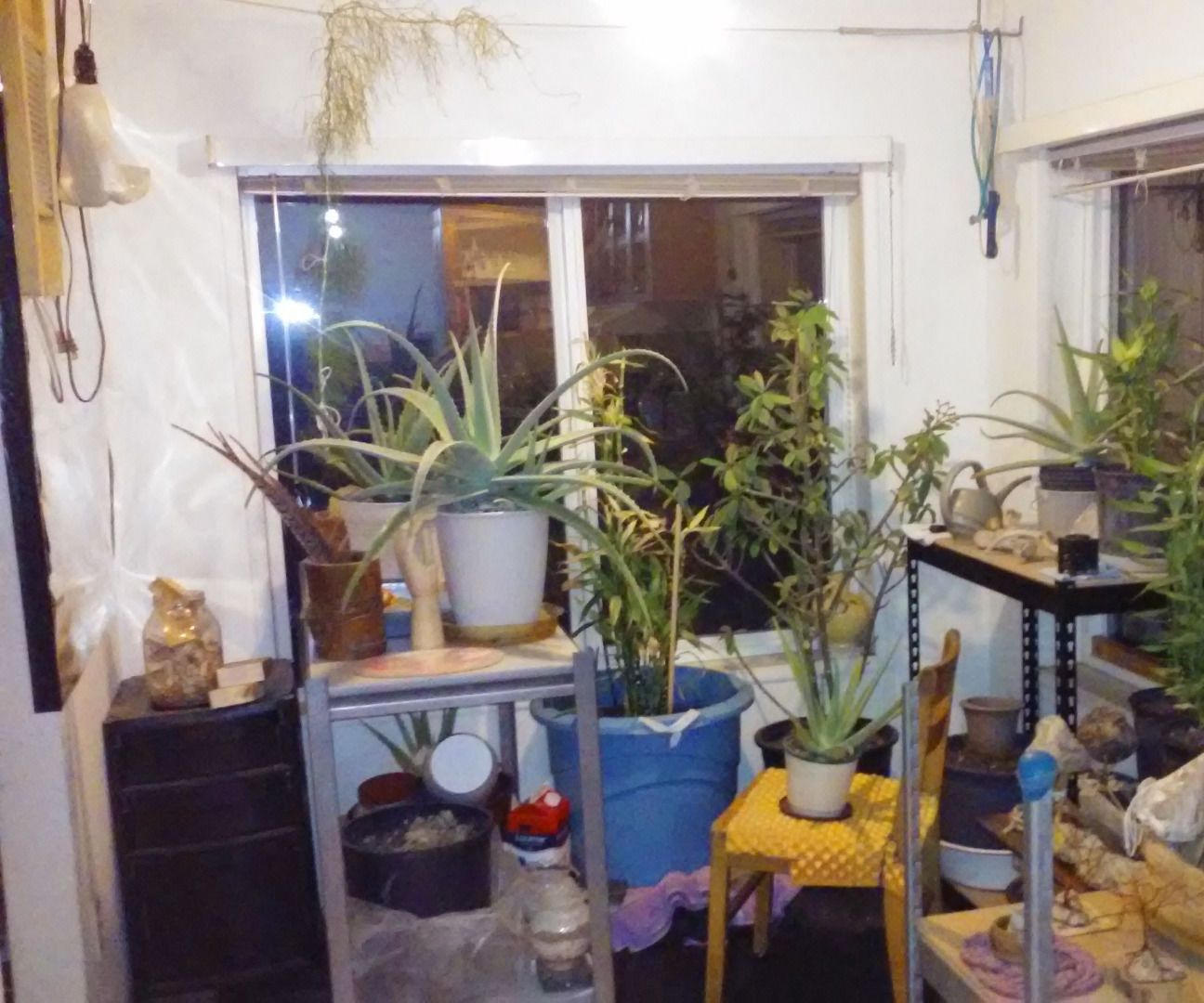 Better Indoor Gardening