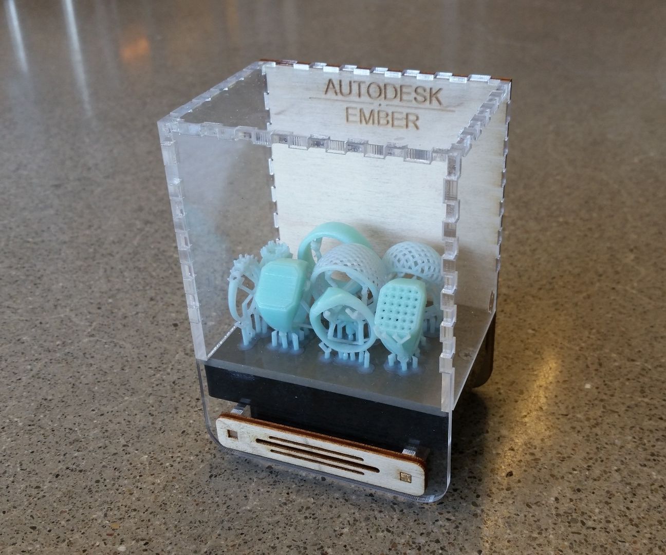 Ember Build Head Display Case