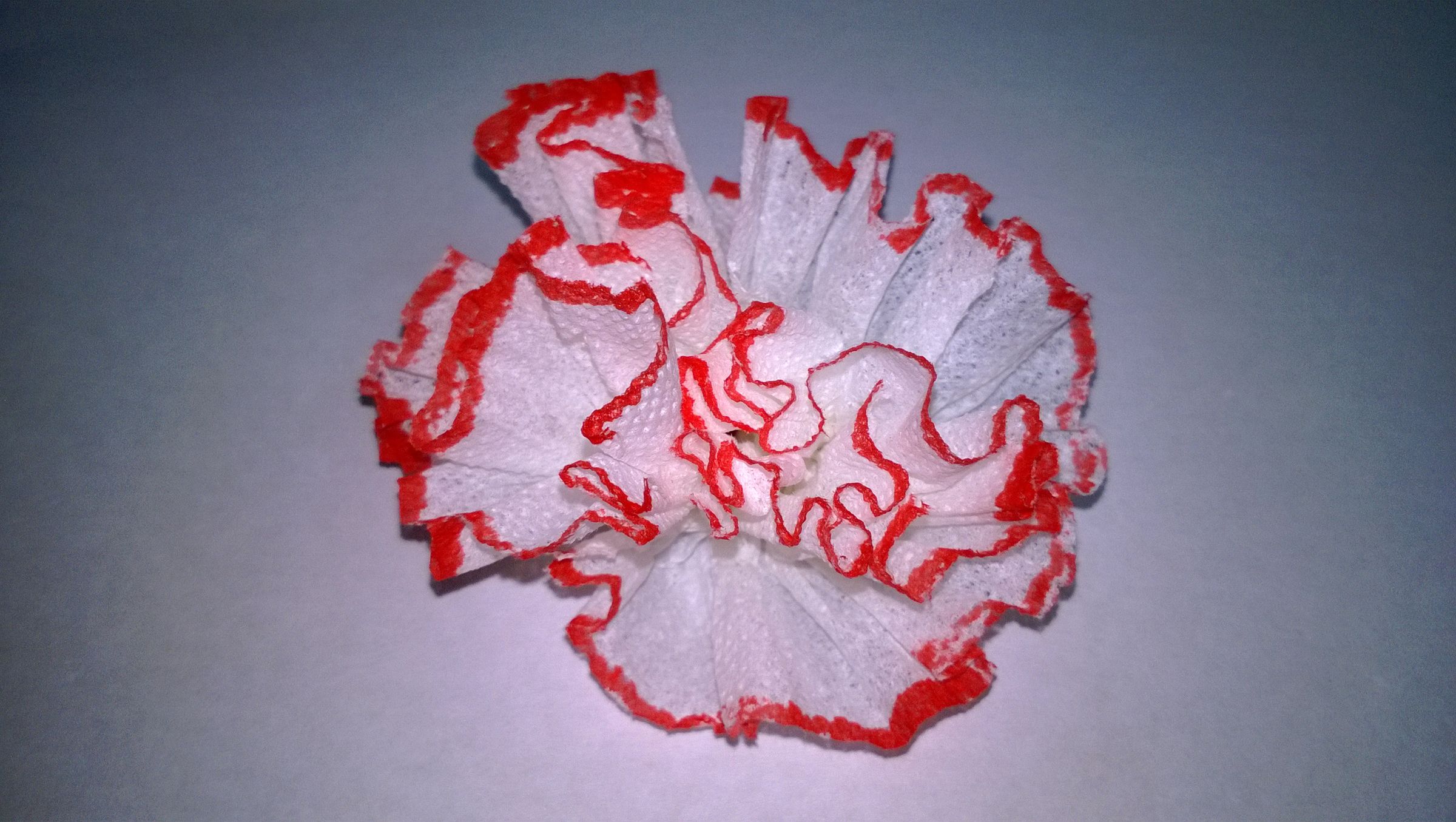 DIY Paper Flowers 9 Steps Instructables