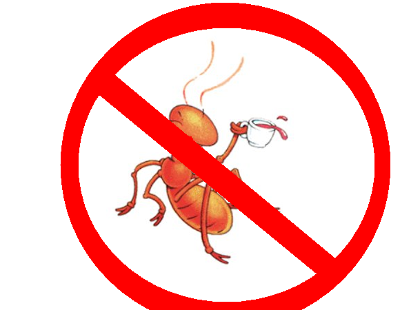 How to Kill Ants