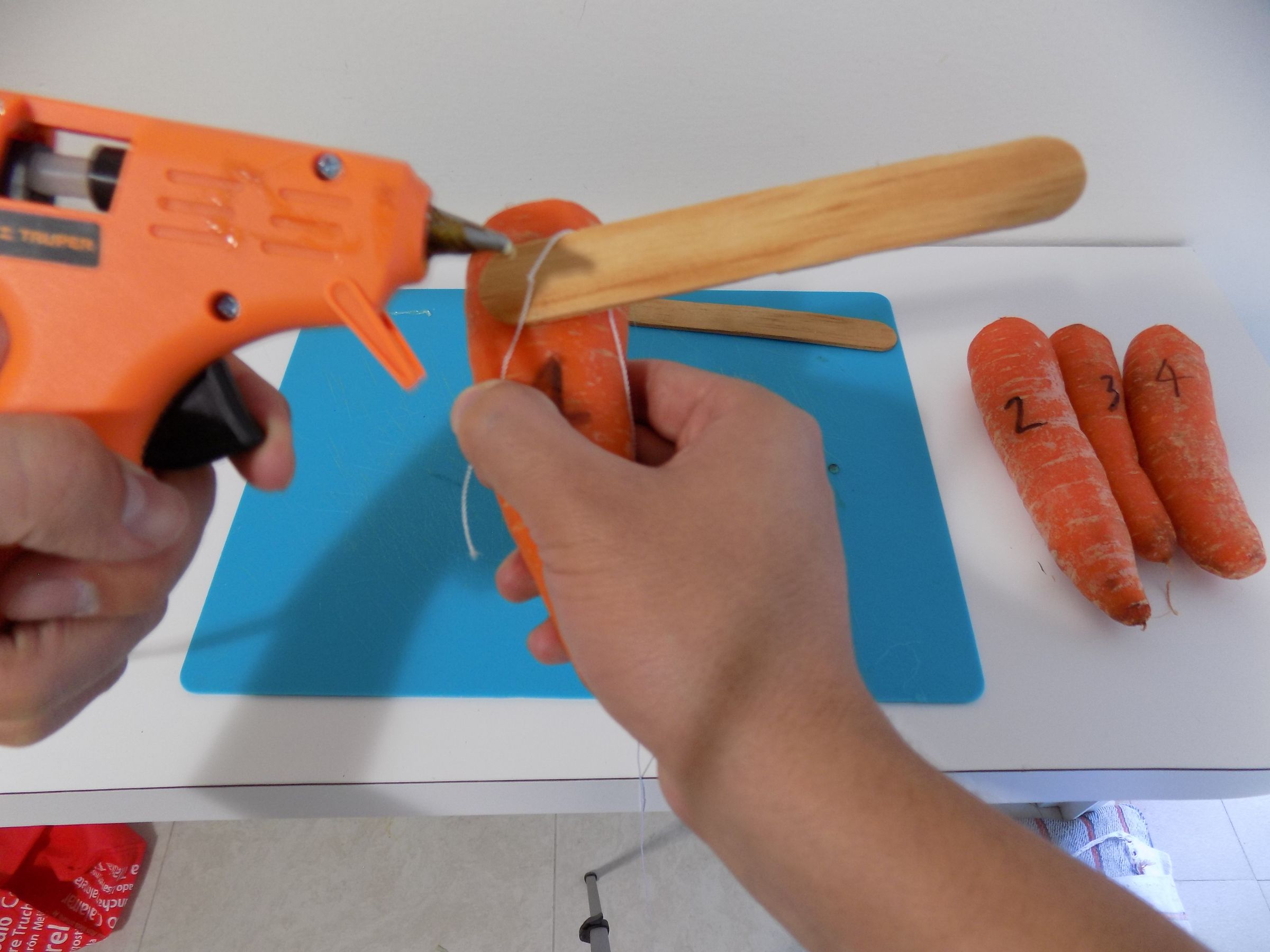 Carrot Pan Flute 4 Steps (with Pictures) Instructables