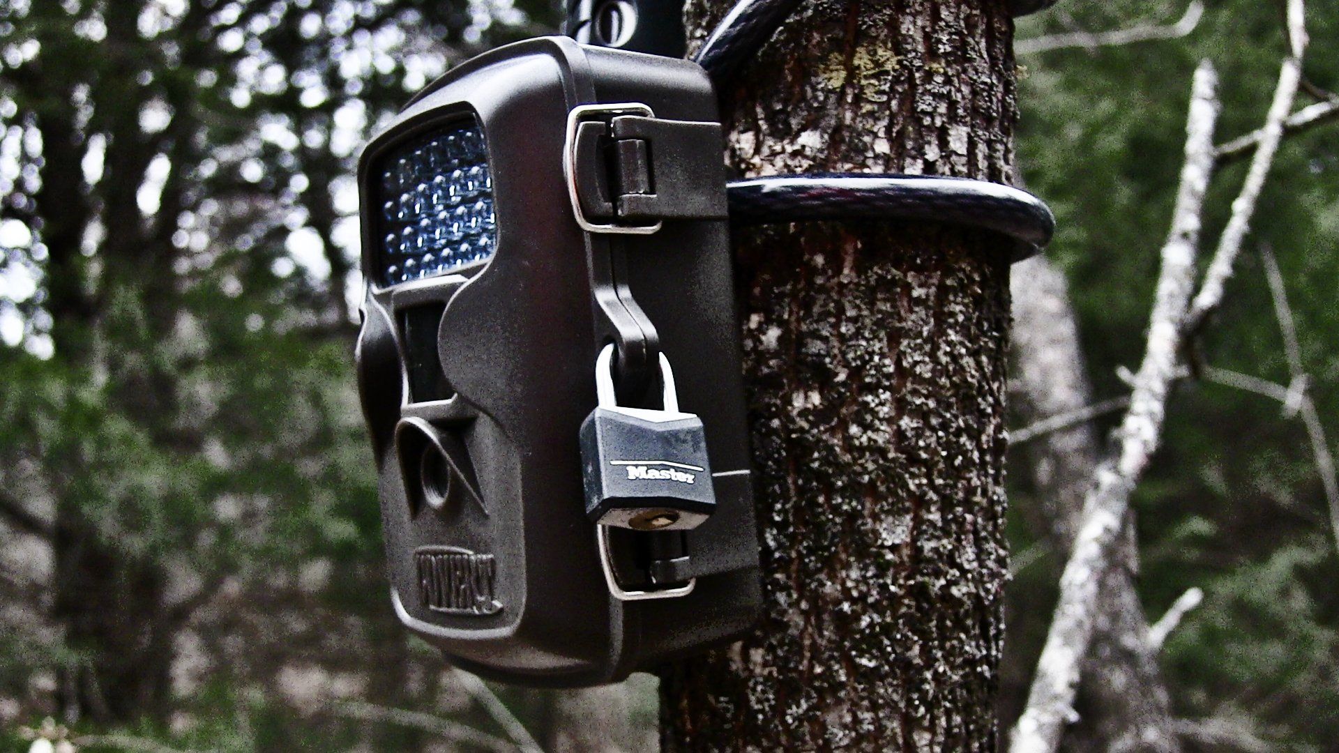 BEST Trail Camera Survey Setup With Instructions