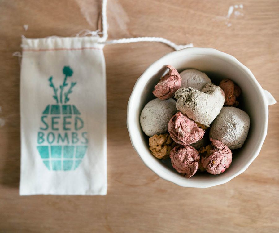 Make Seed Balls With Recycled Paper