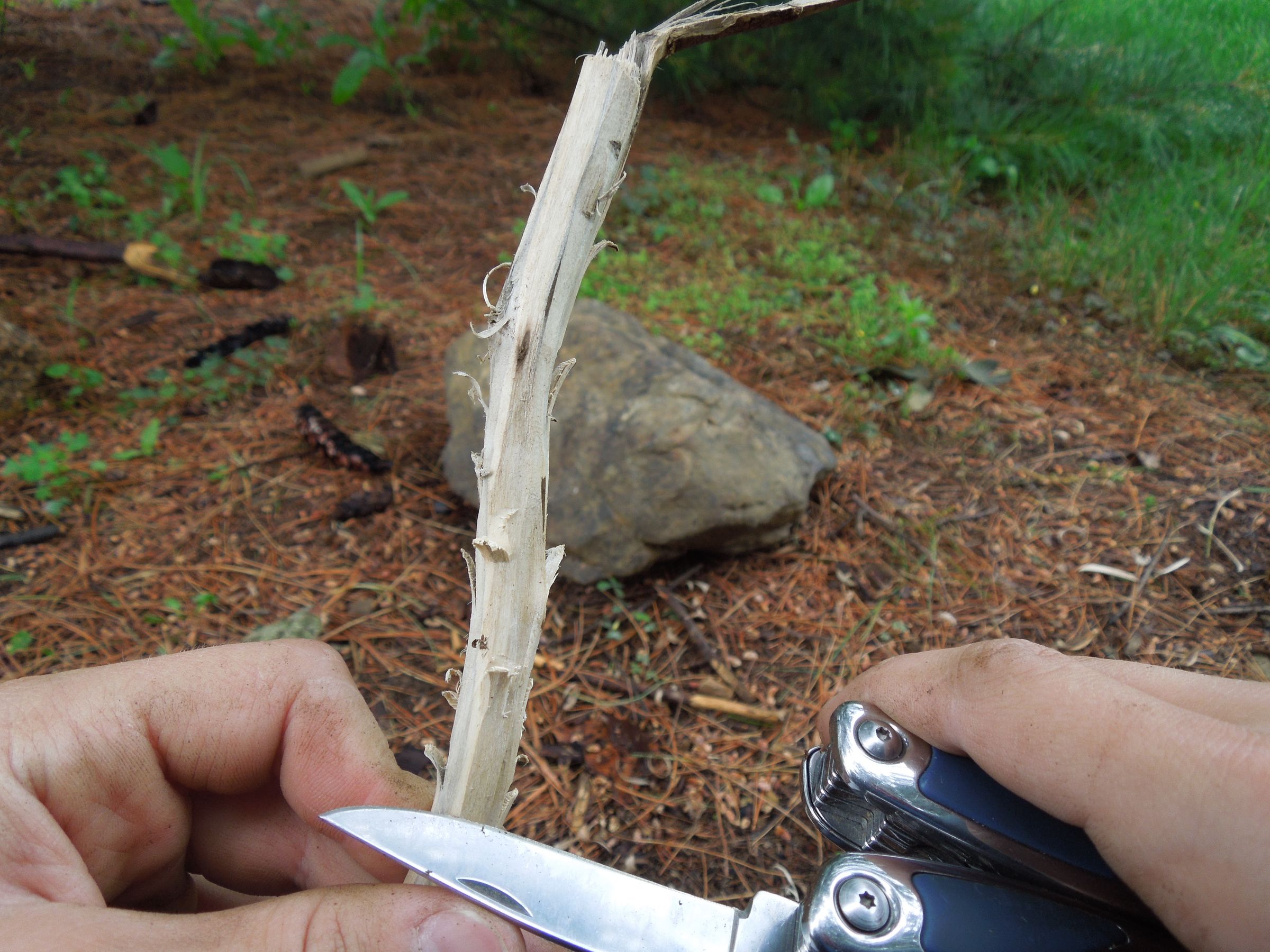 Build a Fire in the Rain/Wet Condidtions