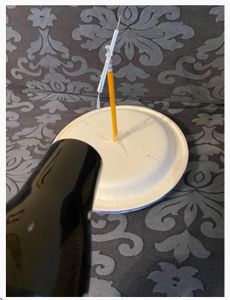 Testing (optional)