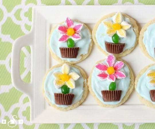 Flower Pot Cookies