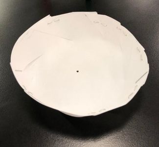 The Cover