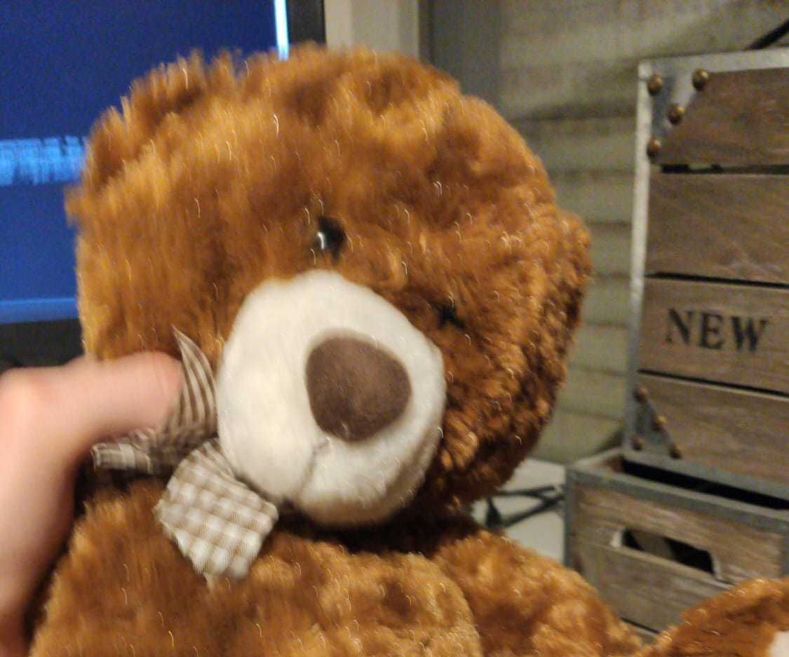 Vertalende Teddybeer