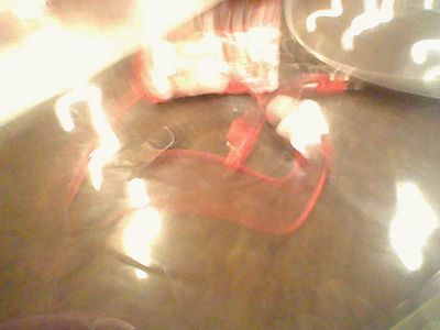 Plug in the Alligator Clips